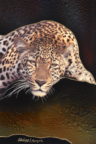 Lazy Sunday Afternoon Original Fine Arts Painting By Jeurgen Aldag - Turmeric Art