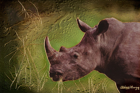 Rhino Original Fine Arts Painting By Jeurgen Aldag - Turmeric Art