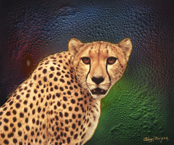 Cheetah Original Fine Arts Painting By Jeurgen Aldag - Turmeric Art